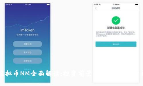 虚拟币NM全面解读：投资前景、风险与市场分析