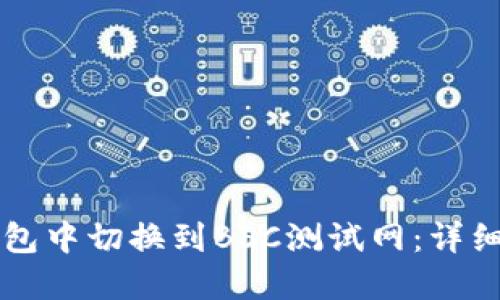 如何在TP钱包中切换到BSC测试网：详细步骤与指南