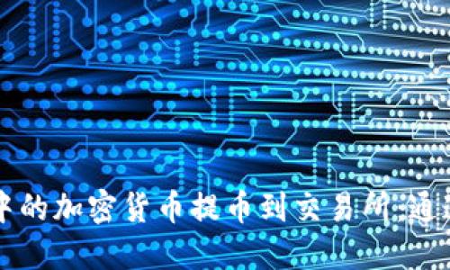 如何将TP钱包中的加密货币提币到交易所：通道选择全面指南