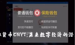 探索虚拟货币CNYT：未来数