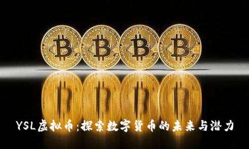 YSL虚拟币：探索数字货币的未来与潜力