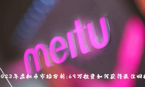 2023年虚拟币市场分析：69万投资如何获得最佳回报