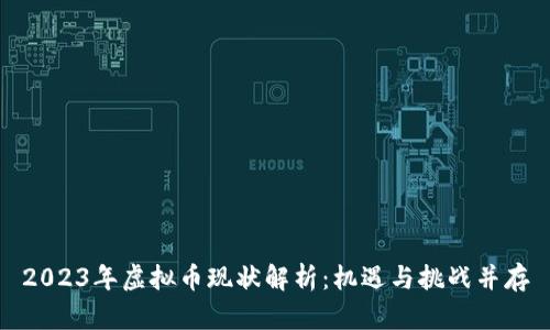 2023年虚拟币现状解析：机遇与挑战并存