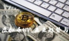 深度解析虚拟币HY：未来趋