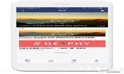 深入解析域链（Domain Chain）与虚拟币的未来发展