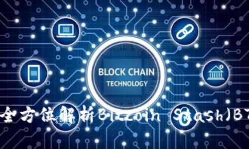 BTS虚拟币详解：全方位解析Bitcoin Stash（BTS）的机制与应用