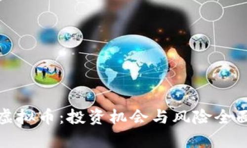 《飞哥虚拟币：投资机会与风险全面解析》