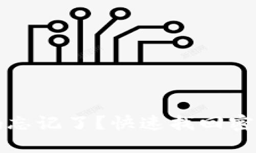 : TP钱包密码忘记了？快速找回密码的实用指南