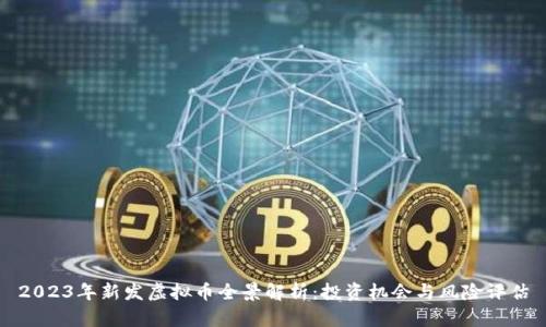 2023年新发虚拟币全景解析：投资机会与风险评估