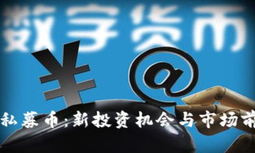 TP钱包私募币：新投资机会与市场前景解析