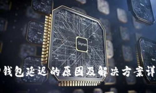 TP钱包延迟的原因及解决方案详解