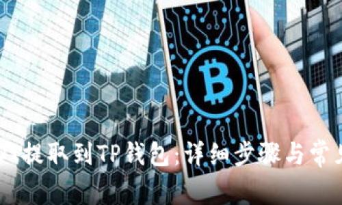 如何将USDT提取到TP钱包：详细步骤与常见问题解答
