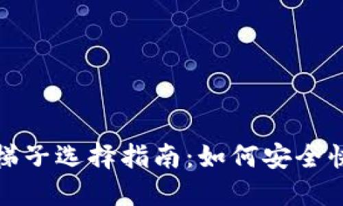 TP钱包的最佳梯子选择指南：如何安全快速访问TP钱包