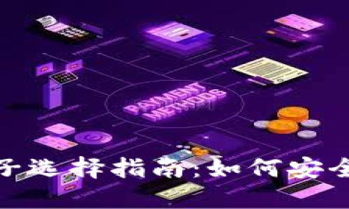 TP钱包的最佳梯子选择指南：如何安全快速访问TP钱包