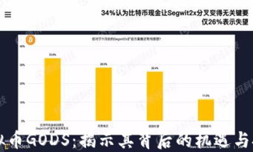 
虚拟币GODS：揭示其背后的机遇与挑战