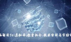 全面解析fei虚拟币：投资