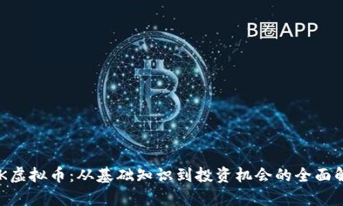 FNK虚拟币：从基础知识到投资机会的全面解析