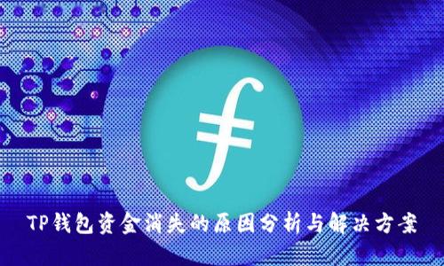 TP钱包资金消失的原因分析与解决方案