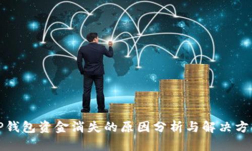 TP钱包资金消失的原因分析与解决方案