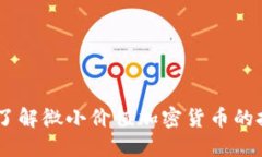 最小的虚拟币：了解微小