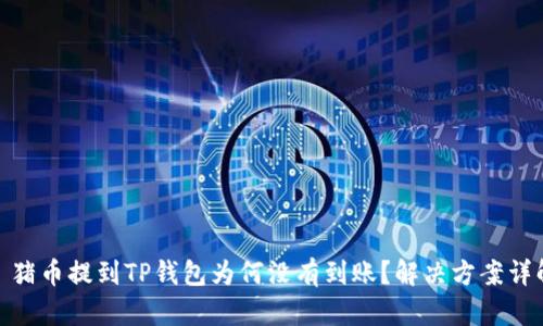 : 猪币提到TP钱包为何没有到账？解决方案详解