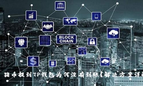 : 猪币提到TP钱包为何没有到账？解决方案详解