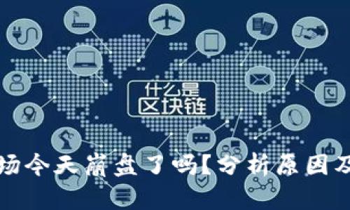 虚拟币市场今天崩盘了吗？分析原因及未来走势