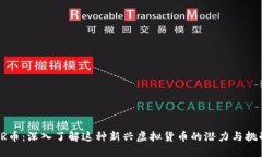 RR币：深入了解这种新兴虚