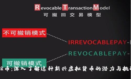 RR币：深入了解这种新兴虚拟货币的潜力与挑战