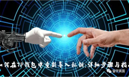 如何在TP钱包中重新导入私钥：详细步骤与指南