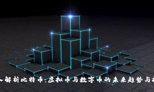 深入解析比特币：虚拟币与数字币的未来趋势与挑战