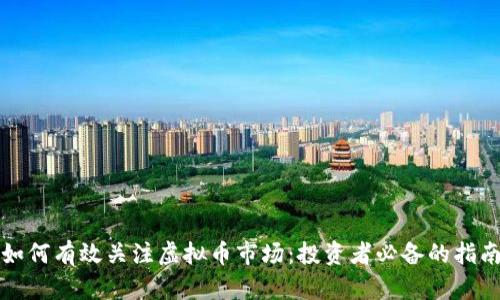 如何有效关注虚拟币市场：投资者必备的指南