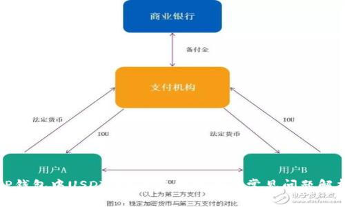 TP钱包中USDT（U）的使用指南与常见问题解析