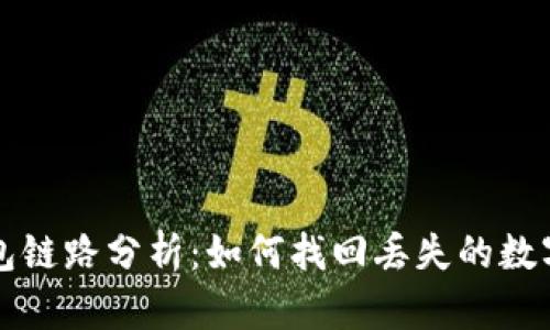 TP钱包链路分析：如何找回丢失的数字资产