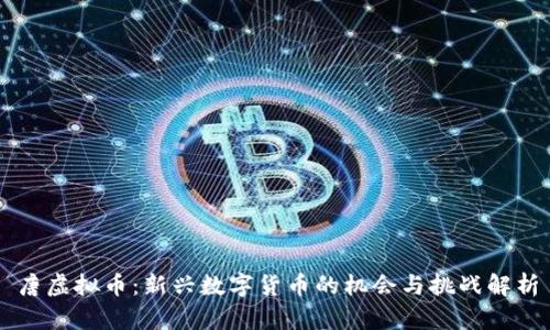 唐虚拟币：新兴数字货币的机会与挑战解析