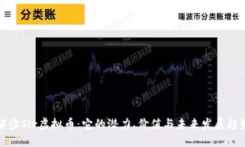 解读Sir虚拟币：它的潜力、价值与未来发展趋势