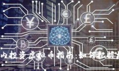 2023年国内投资虚拟币指南