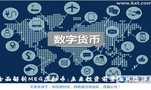 全面解析MEG虚拟币：未来投资前景与风险评估