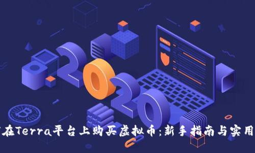 如何在Terra平台上购买虚拟币：新手指南与实用技巧