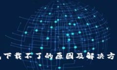 TP钱包下载不了的原因及解