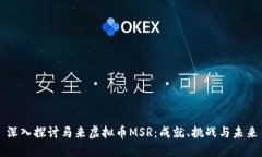 深入探讨马来虚拟币MSR：