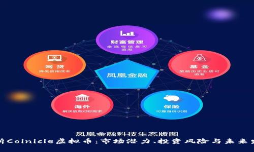 深入解析Coinicle虚拟币：市场潜力、投资风险与未来发展趋势