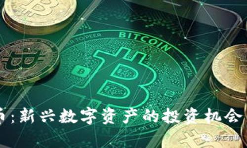 蜜糖虚拟币：新兴数字资产的投资机会与风险解析