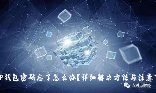 : TP钱包密码忘了怎么办？详细解决方法与注意事项