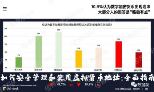 如何安全管理和使用虚拟货币地址：全面指南