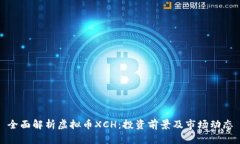 全面解析虚拟币XCH：投资