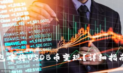如何在TP钱包中将USDB币变现？详细指南与实用技巧