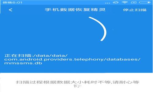 如何将抹茶币提取到TP钱包：详细指南