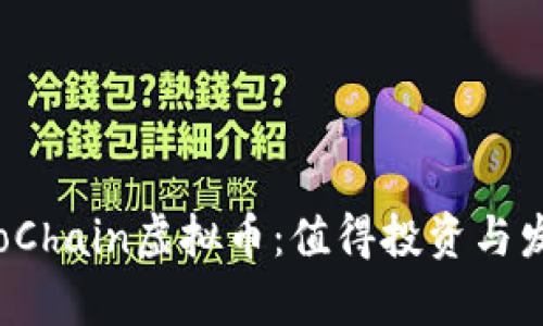 全面解析LemoChain虚拟币：值得投资与发展的新兴平台
