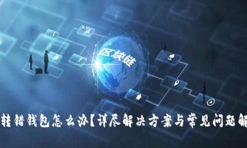 TP转错钱包怎么办？详尽解决方案与常见问题解析